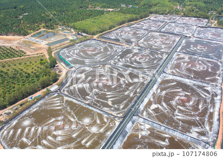 Aerial view of natural sea salt ponds, lake or sea. Farm field outdoor in traditional industry in Thailand. Asia culture. Agriculture irrigation. River reflection. Aerial view of natural sea salt ponds, lake or sea. Farm field outdoor in traditional industry in Thailand. Asia culture. Agriculture irrigation. River reflection. 107174806