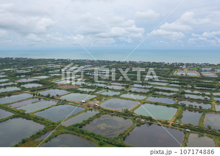 Aerial view of natural sea salt ponds, lake or sea. Farm field outdoor in traditional industry in Thailand. Asia culture. Agriculture irrigation. River reflection. 107174886