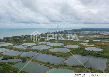 Aerial view of wind turbines or windmills farm field and sea shore beach in industry factory. water power, sustainable green clean energy, and environment concept. Nature innovation. Aerial view of wind turbines or windmills farm field and sea shore beach in industry factory. water power, sustainable green clean energy, and environment concept. Nature innovation. 107175005