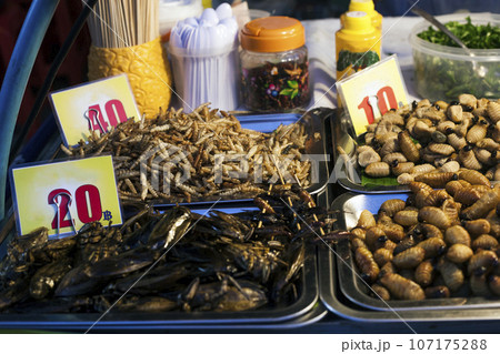 Thai food fried worms and insects, market 107175288