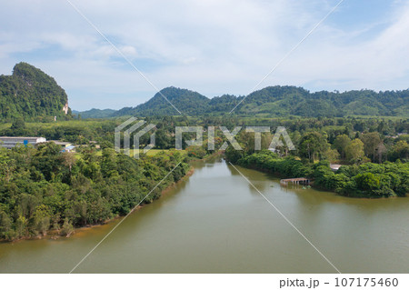 Aerial top view of a garden park with green mangrove forest trees, river, pond or lake. Nature landscape background, Thailand. 107175460