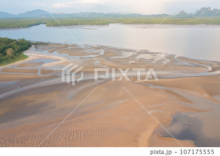 Aerial top view of a garden park with green mangrove forest trees, river, pond or lake. Nature landscape background, Thailand. 107175555