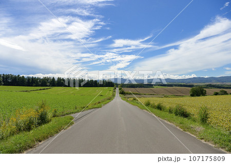 北海道 美瑛の一本道 107175809