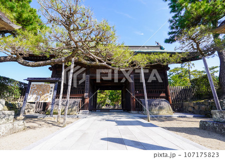 四国霊場第80番札所 讃岐国分寺 仁王門(香川県高松市) 四国霊場第80番札所 讃岐国分寺 仁王門(香川県高松市) 107175823