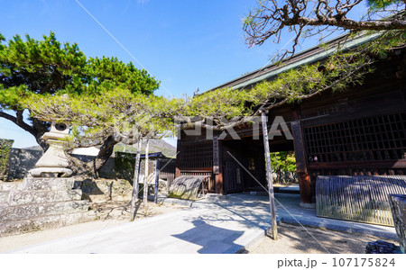 四国霊場第80番札所 讃岐国分寺 仁王門（香川県高松市） 107175824