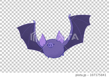 Flying bats 107175841