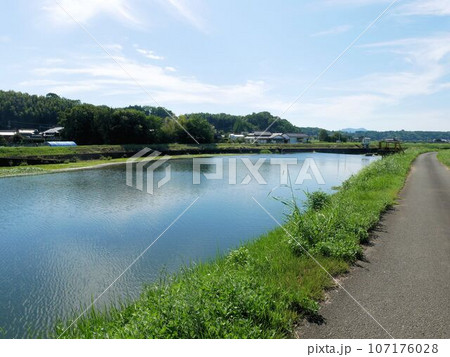 熊本の河川　合志川　（熊本県菊池市泗水町） 107176028