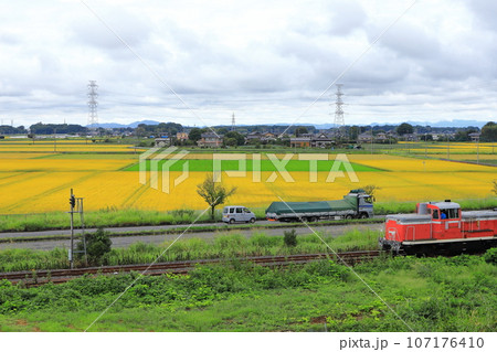 真岡鐵道「折本駅周辺の秋の田園風景とR294を背景に」 真岡鐵道「折本駅周辺の秋の田園風景とR294を背景に」 107176410
