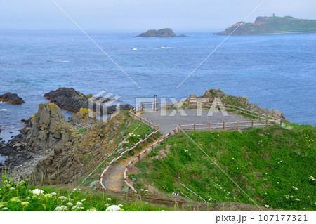 礼文島 スコトン岬 礼文島 スコトン岬 107177321