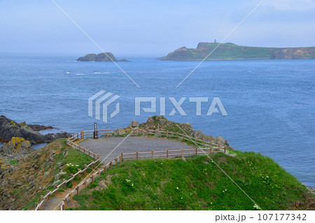 礼文島 スコトン岬 礼文島 スコトン岬 107177342