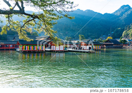 【世界遺産 嚴島神社】【安芸国一宮】新年の晴れた朝の境内 広島県廿日市市 【世界遺産 嚴島神社】【安芸国一宮】新年の晴れた朝の境内 広島県廿日市市 107178658