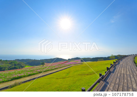 【兵庫県】10月・青空の休日にあわじ花さじきを観光 107178758