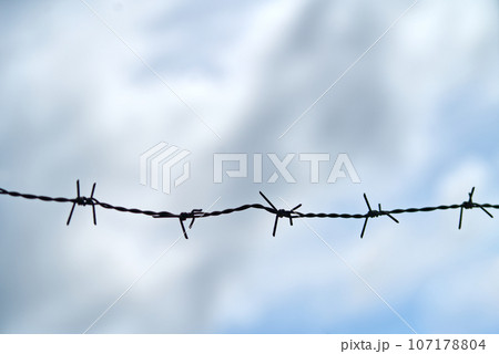 Silhouette single barbed wire 107178804