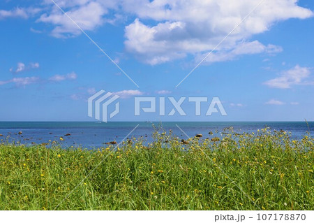 夏の北海道、宗谷地方、一本道を走ってるとオホーツク海に突き出した千畳岩に出会う。夏の海辺で何想う 107178870