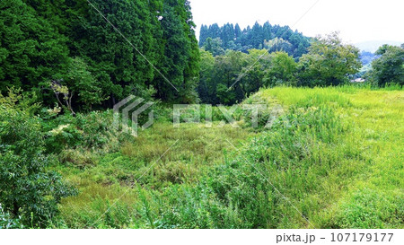 千葉県養老渓谷の原っぱ 107179177