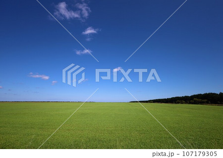 北海道最北の地、オホーツクを望む牧草地の一本道、その名は猿払村道エサヌカ線、夏の空に映えるツーリング 北海道最北の地、オホーツクを望む牧草地の一本道、その名は猿払村道エサヌカ線、夏の空に映えるツーリング 107179305