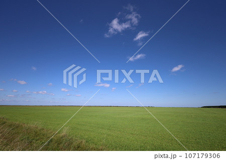 北海道最北の地、オホーツクを望む牧草地の一本道、その名は猿払村道エサヌカ線、夏の空に映えるツーリング 107179306