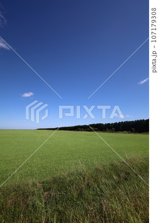 北海道最北の地、オホーツクを望む牧草地の一本道、その名は猿払村道エサヌカ線、夏の空に映えるツーリング 107179308