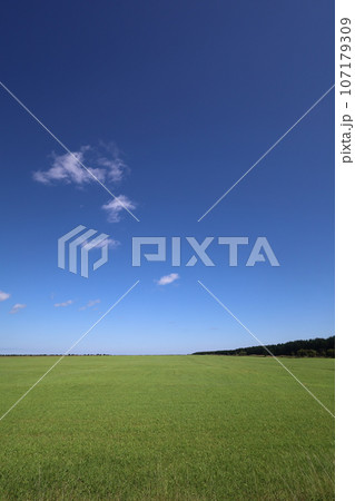 北海道最北の地、オホーツクを望む牧草地の一本道、その名は猿払村道エサヌカ線、夏の空に映えるツーリング 107179309