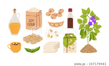 Soy Products Icon Set 107179481