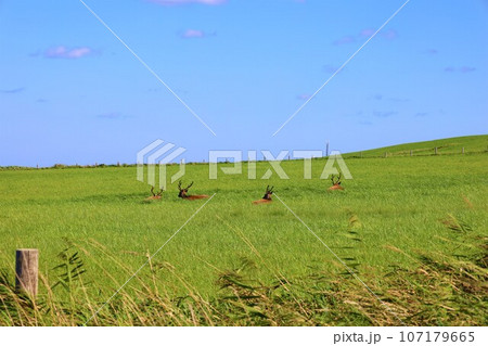 日本最北端の地、北緯四五度、北海道の宗谷岬にて何を想う?なつぞら北海道、遠くサハリンを望む、大いなる 日本最北端の地、北緯四五度、北海道の宗谷岬にて何を想う?なつぞら北海道、遠くサハリンを望む、大いなる 107179665