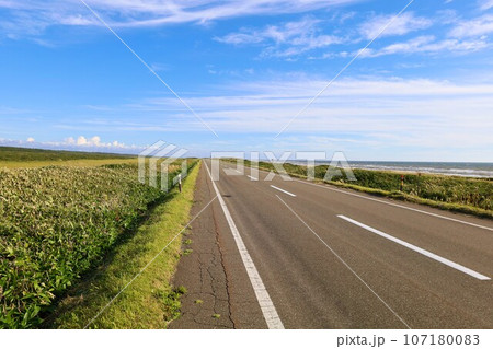 日本最大の高層湿原、北海道の利尻礼文サロベツ国立公園、サロベツの原野で洋上の利尻島を眺める、その夕日 日本最大の高層湿原、北海道の利尻礼文サロベツ国立公園、サロベツの原野で洋上の利尻島を眺める、その夕日 107180083