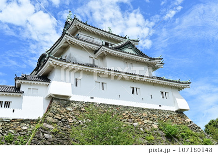 和歌山城の天守(入場口付近) 和歌山城の天守(入場口付近) 107180148