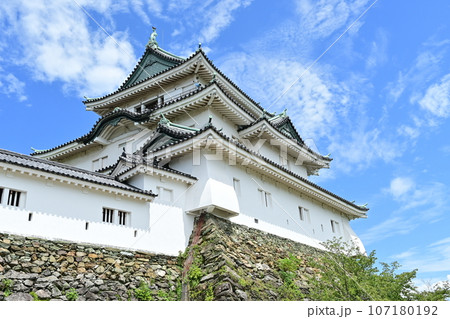 和歌山城の天守(入場口付近) 和歌山城の天守(入場口付近) 107180192