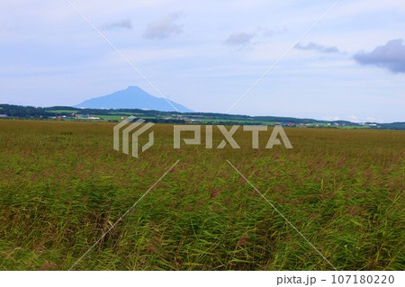日本最大の高層湿原、北海道の利尻礼文サロベツ国立公園、サロベツの原野で洋上の利尻島を眺める、その夕日 日本最大の高層湿原、北海道の利尻礼文サロベツ国立公園、サロベツの原野で洋上の利尻島を眺める、その夕日 107180220