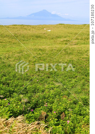 日本最大の高層湿原、北海道の利尻礼文サロベツ国立公園、サロベツの原野で洋上の利尻島を眺める、その夕日 日本最大の高層湿原、北海道の利尻礼文サロベツ国立公園、サロベツの原野で洋上の利尻島を眺める、その夕日 107180230
