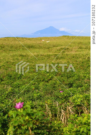 日本最大の高層湿原、北海道の利尻礼文サロベツ国立公園、サロベツの原野で洋上の利尻島を眺める、その夕日 107180232
