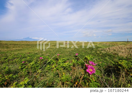 日本最大の高層湿原、北海道の利尻礼文サロベツ国立公園、サロベツの原野で洋上の利尻島を眺める、その夕日 日本最大の高層湿原、北海道の利尻礼文サロベツ国立公園、サロベツの原野で洋上の利尻島を眺める、その夕日 107180244