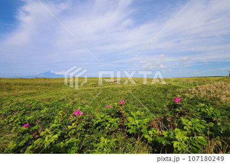 日本最大の高層湿原、北海道の利尻礼文サロベツ国立公園、サロベツの原野で洋上の利尻島を眺める、その夕日 107180249