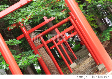 山形県「烏帽子山八幡宮」の傍らにひっそりと佇む稲荷神社 山形県「烏帽子山八幡宮」の傍らにひっそりと佇む稲荷神社 107180497
