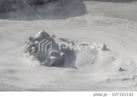 大地の芸術？　別府坊主地獄  107181192