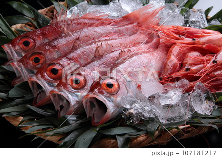 ノドグロと南蛮エビ ノドグロと南蛮エビ 107181217