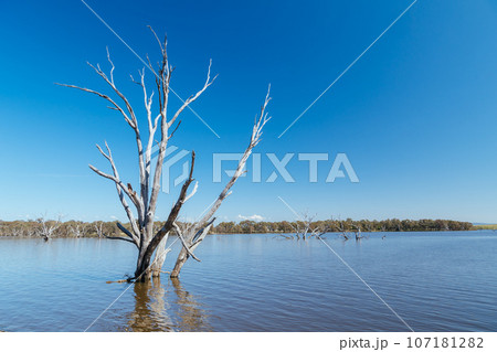 Lake Eppalock in Victoria Australia Lake Eppalock in Victoria Australia 107181282