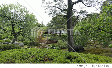 兼六園の景色【日本・石川】 兼六園の景色【日本・石川】 107182140