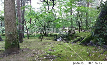 兼六園の風景【日本・石川】 兼六園の風景【日本・石川】 107182179