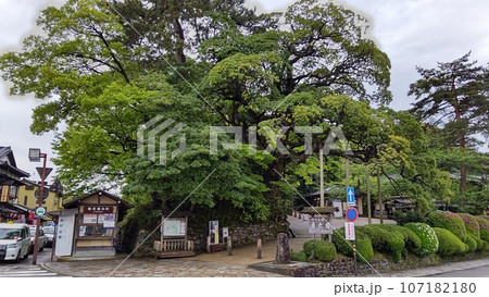 兼六園、桜ヶ岡口【日本・石川】 107182180