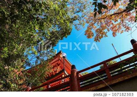 お寺の赤い仏塔と青空 107182303