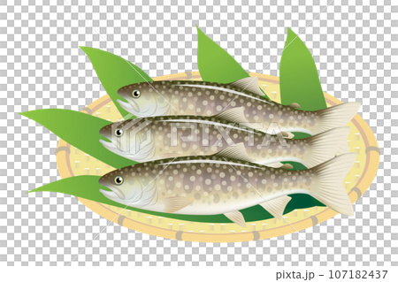 燒焦 燒焦 107182437