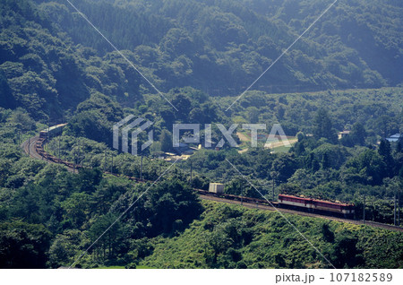 2002年　旧東北本線を走るED75重連コンテナ貨物列車 107182589