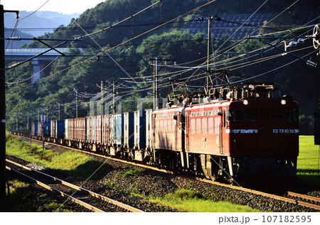 2002年　旧東北本線を走るED751036重連コンテナ貨物列車 107182595