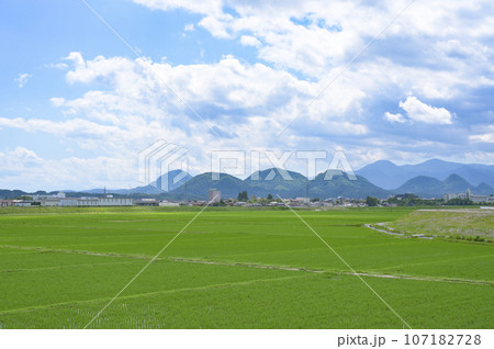 春の田園風景 107182728