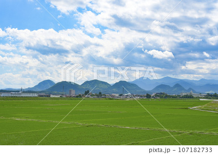 春の田園風景 107182733