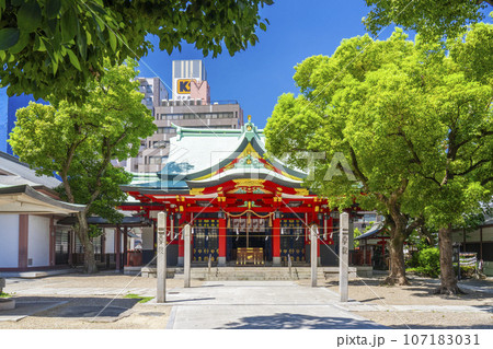 御霊神社 本殿 注連柱(大阪市中央区淡路町) 御霊神社 本殿 注連柱(大阪市中央区淡路町) 107183031