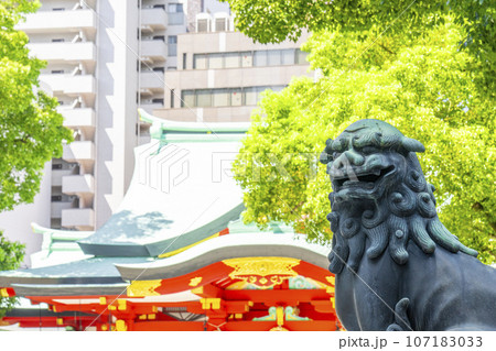 御霊神社 　本殿と青銅狛犬（大阪市中央区淡路町） 107183033