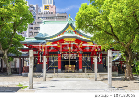 御霊神社 本殿 注連柱(大阪市中央区淡路町) 御霊神社 本殿 注連柱(大阪市中央区淡路町) 107183058