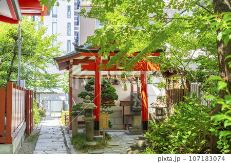 御霊神社 松ノ木神社 大黒社(大阪市中央区淡路町) 御霊神社 松ノ木神社 大黒社(大阪市中央区淡路町) 107183074